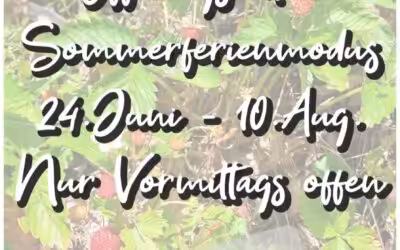 Offnungszeiten Sommerferien