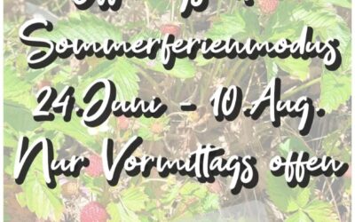 Offnungszeiten Sommerferien